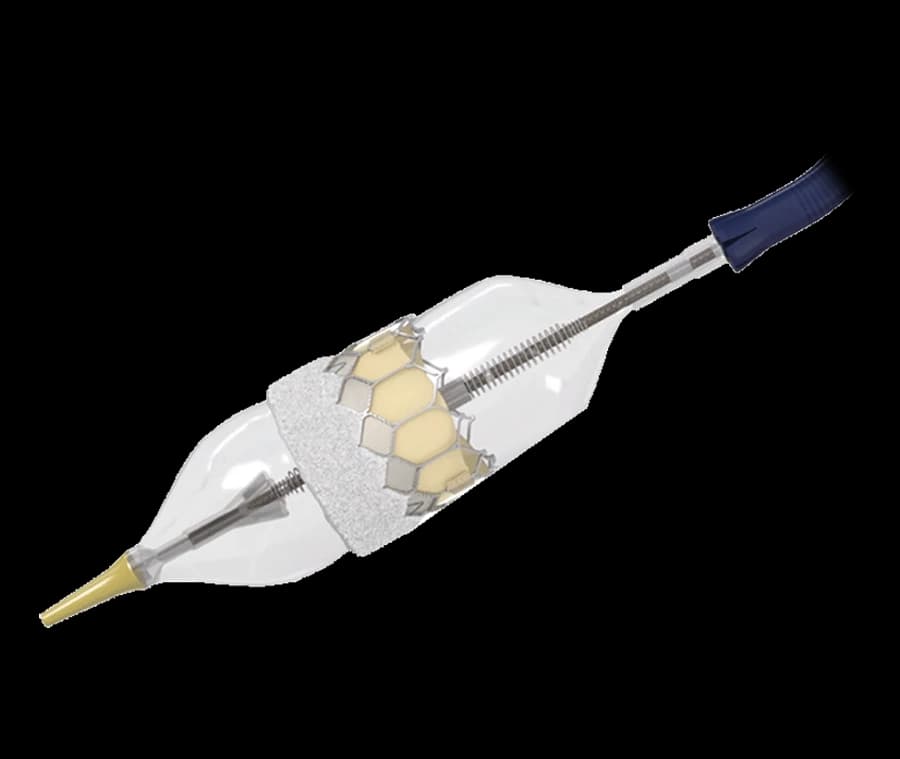 Transcatheter Aortic Valve Replacement (TAVR) device